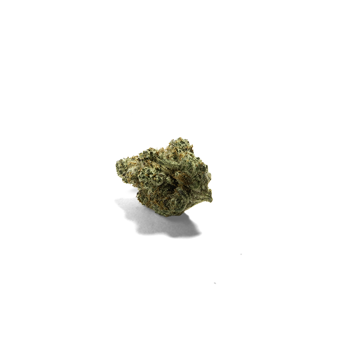 Sashi-Cookies-And-Chem-Hybrid-Whole-Flower-Nug-Angled